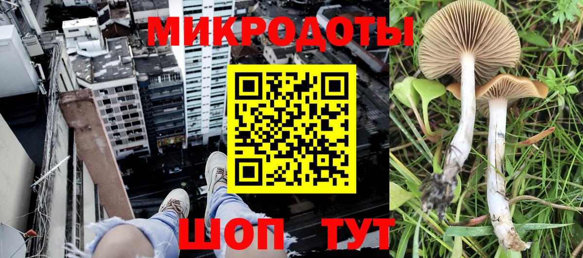 Галлюциногенные грибы Cubensis  Вход с VPN  Когалым  Галлюциногенные грибы Magic Shrooms 